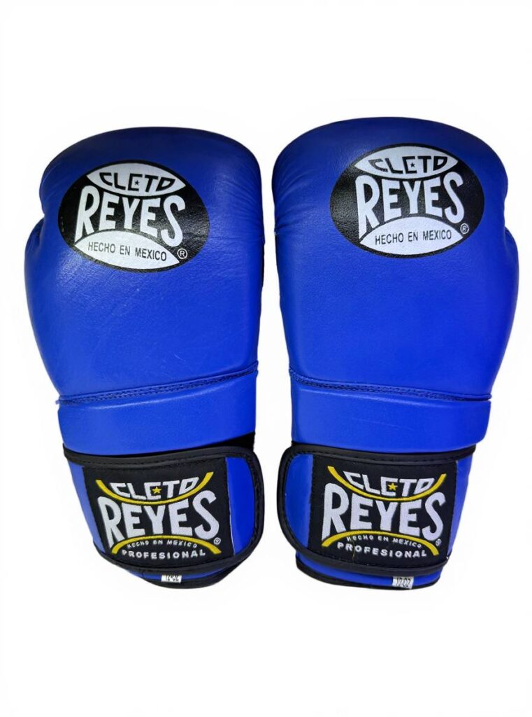 دستکش بوکس حرفه ای ریس مدل 12(REYES)blue