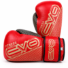 دستکش بوکس تمام چرم حرفه ای سایز10 EVO(fitness)
