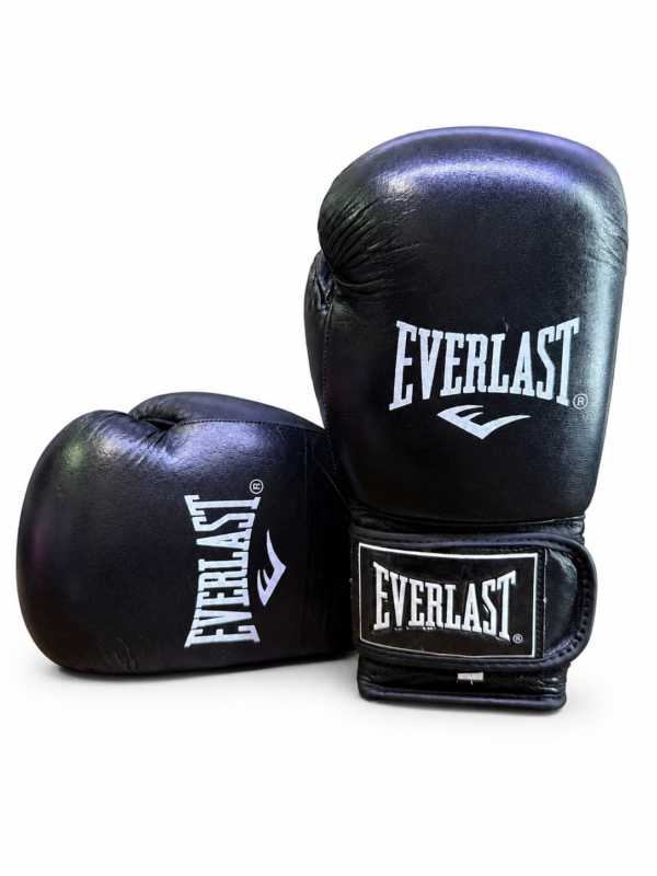 دستکش بوکش تمام چرم پاکستانی EVERLAST