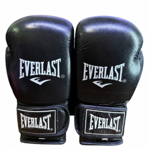 دستکش بوکش تمام چرم پاکستانی EVERLAST