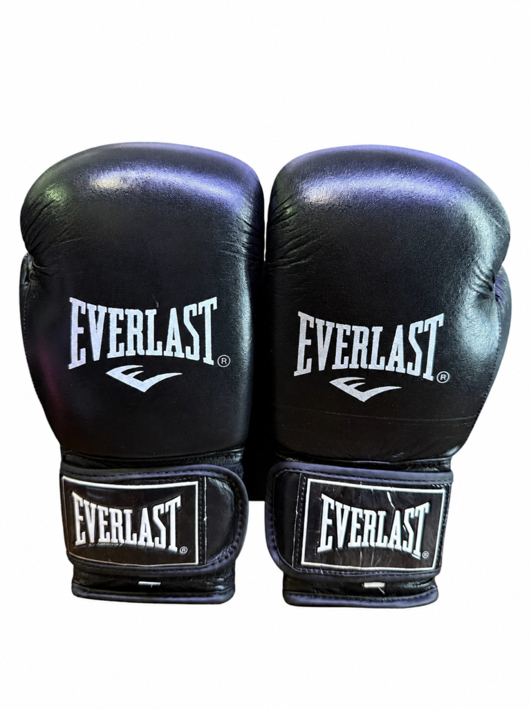 دستکش بوکش تمام چرم پاکستانی EVERLAST